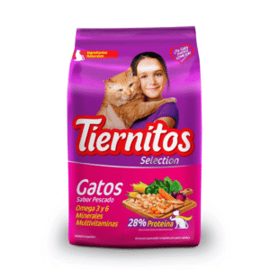 tiernitos gatos (1)