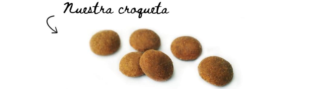 Croqueta Duncan Adultos 3 1024x294 1