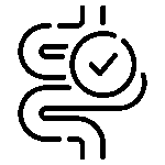 Digestive Organ 150x150