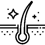 Hair Follicle 150x150